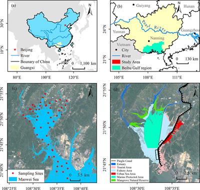 Remote sensing inversion of suspended particulate matter in the estuary of the Pinglu Canal in China based on machine learning algorithms